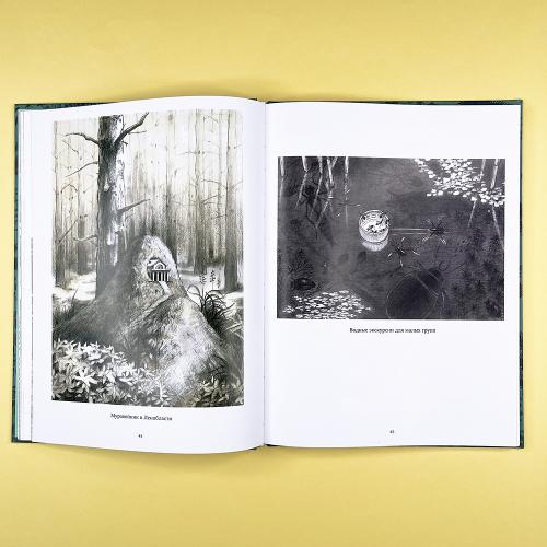 Художественный альбом "Природоведение"