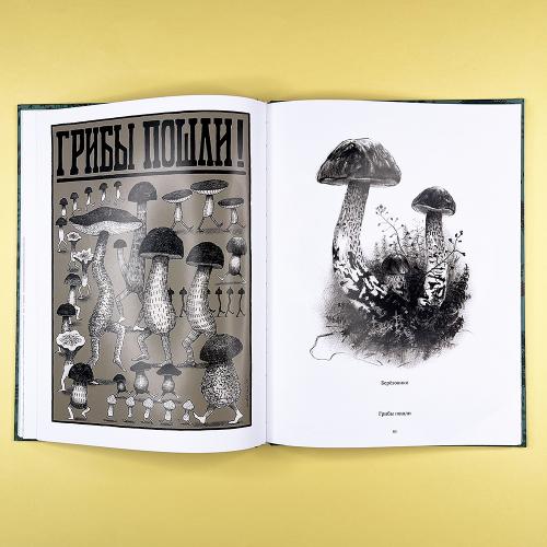 Художественный альбом "Природоведение"