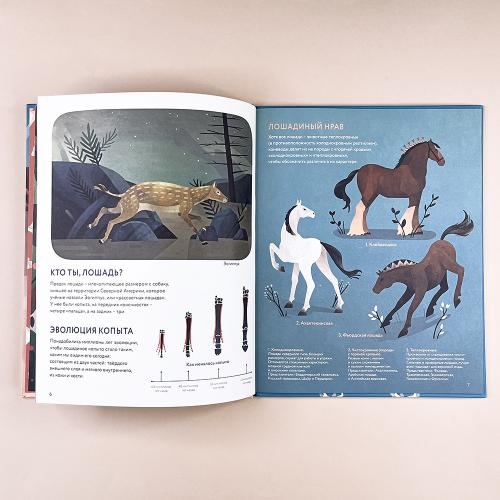 Лошади: дикие и прирученные