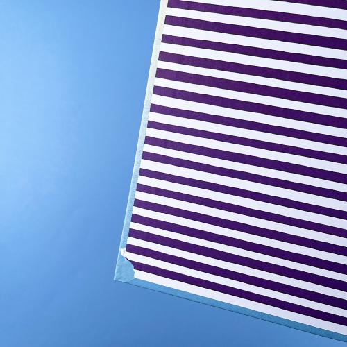 Чик и Брики. Страшное чудовище (книга с дефектом)