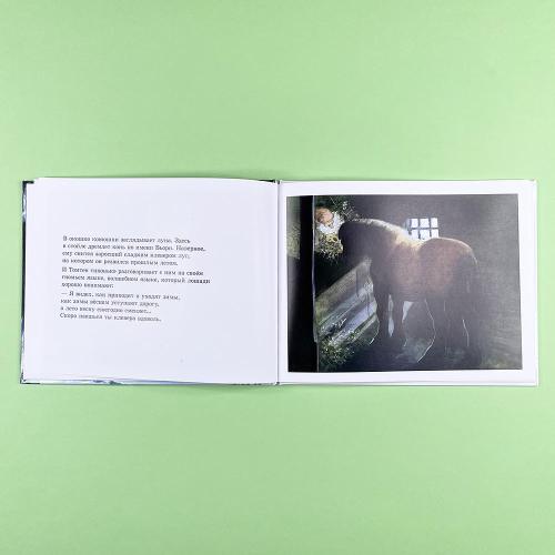 Томтен (книга с дефектом)