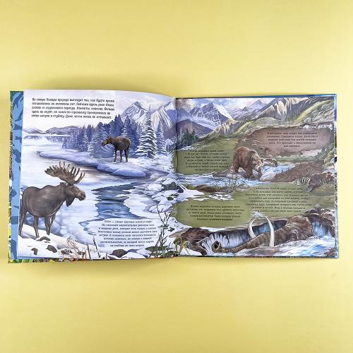 Удивительные животные. Что скрывает природа?