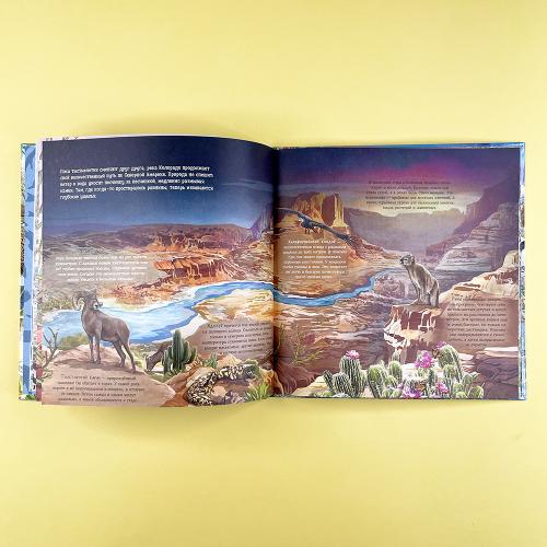 Удивительные животные. Что скрывает природа?