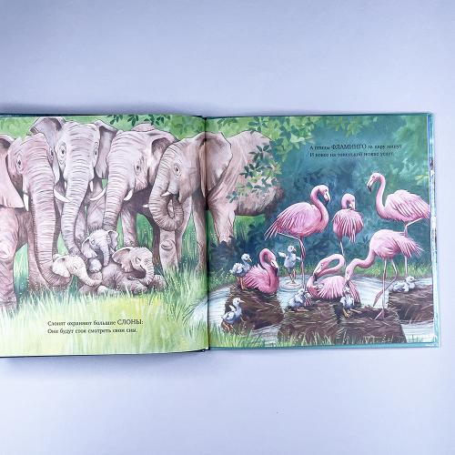 Книжки-картинки. Сладких снов, мой малыш!