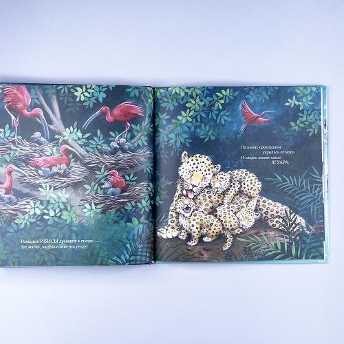 Книжки-картинки. Сладких снов, мой малыш!