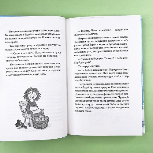 Петронелла и снежная буря