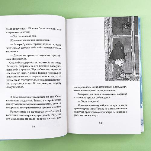 Петронелла и снежная буря