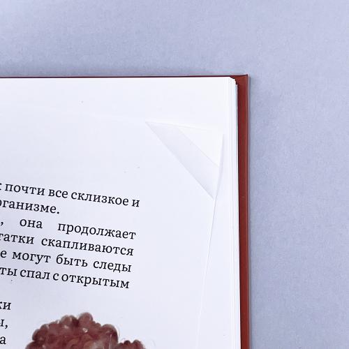 Не Секрет: откуда берутся дети и в чем главное различие мальчиков и девочек (книга с дефектом)