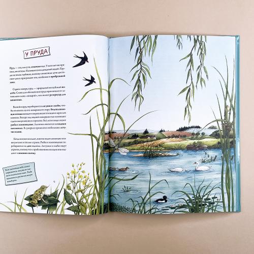 Животные и растения рек, озёр и морей