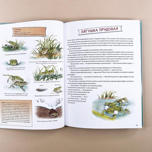 Животные и растения рек, озёр и морей