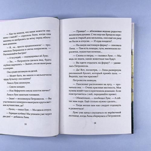 Петронелла и домик ведьмы (книга с дефектом)