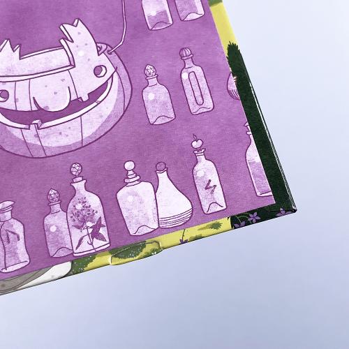 Петронелла и домик ведьмы (книга с дефектом)