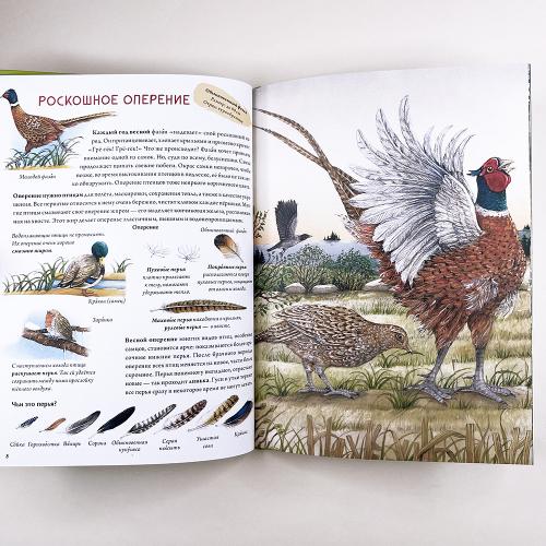 Книга о птицах