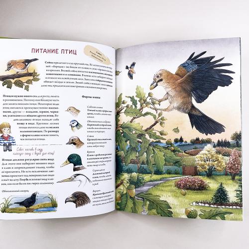 Книга о птицах