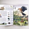 Книга о птицах