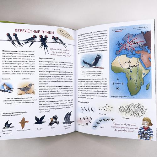 Книга о птицах
