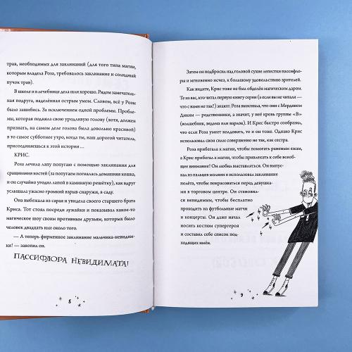 Роза Фалви и волшебное путешествие