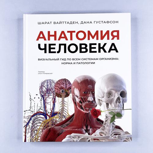 Анатомия человека....