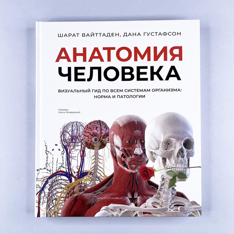 Анатомия человека. Визуальный гид по всем системам организма: норма и патологии
