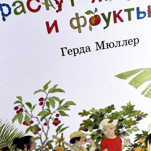Как растут ягоды, орехи и фрукты (книга с дефектом)