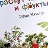 Как растут ягоды, орехи и фрукты (книга с дефектом)