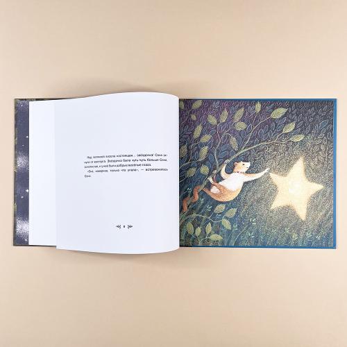 Звездочка (книга с дефектом)