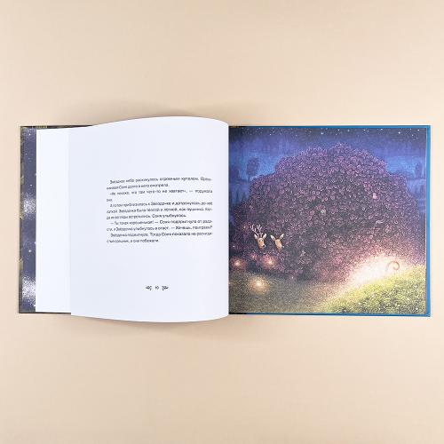 Звездочка (книга с дефектом)