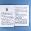 Секретная школа драконов. Книга 2. Дракон с серебряными рогами