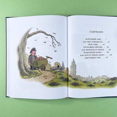 Однажды в старом парке (книга с дефектом)