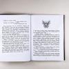 Секретная школа драконов. Книга 3. Возвращение седьмого клана