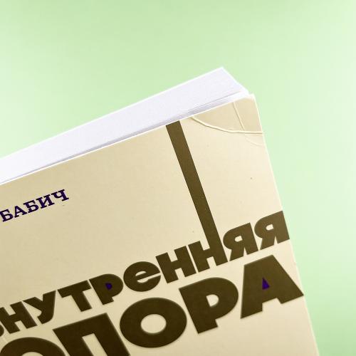 Внутренняя опора. NEON Pocketbooks (книга с дефектом)