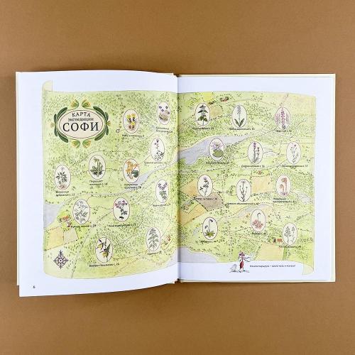 Софи в мире цветов (книга с дефектом)