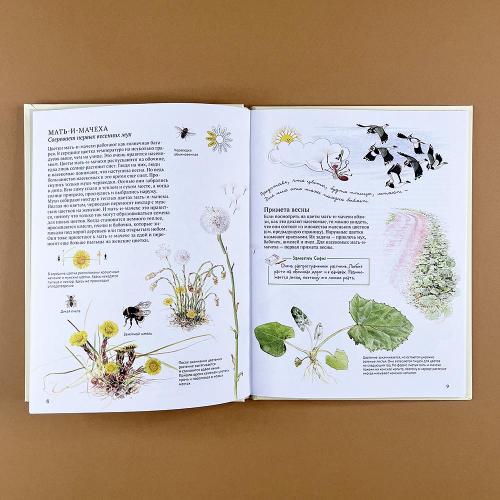 Софи в мире цветов (книга с дефектом)