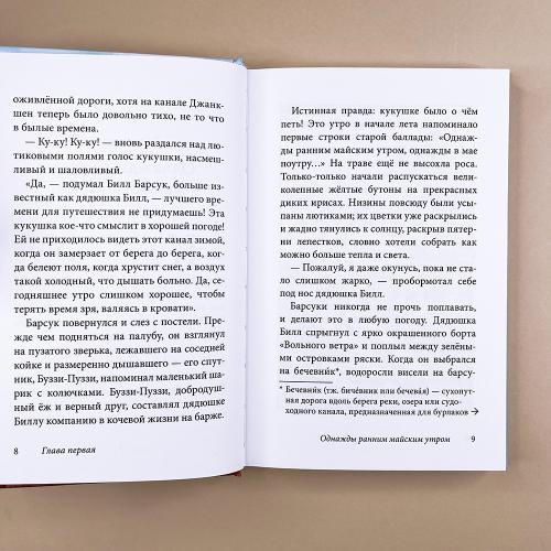 Билл Барсук и пираты. 3-я книга о приключениях Билла Барсука