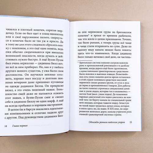 Билл Барсук и пираты. 3-я книга о приключениях Билла Барсука
