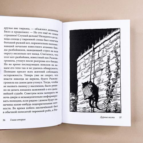 Билл Барсук и пираты. 3-я книга о приключениях Билла Барсука