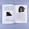 Путешествие в поисках чудища (книга с дефектом)