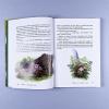 Путешествие в поисках чудища (книга с дефектом)