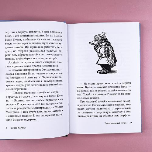 Билл Барсук. Зимнее путешествие. 2-я книга о приключениях Билла Барсука