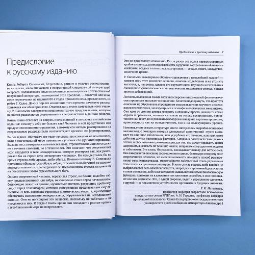 Почему у зебр не бывает инфаркта. Психология стресса