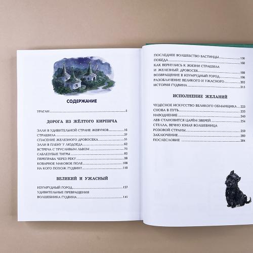 Волшебник Изумрудного города (илл. Анны Власовой)
