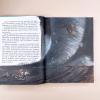 Волшебник Изумрудного города (илл. Анны Власовой) (книга с дефектом)