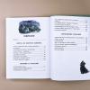 Волшебник Изумрудного города (илл. Анны Власовой) (книга с дефектом)