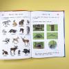 Изучаю мир вокруг. Для одарённых детей 5-6 лет
