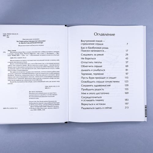 Маленькая панда Бао и секрет спокойствия: добрая история о доверии к жизни