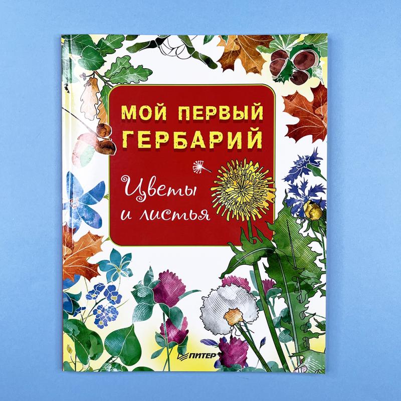 Мой первый гербарий. Цветы и листья