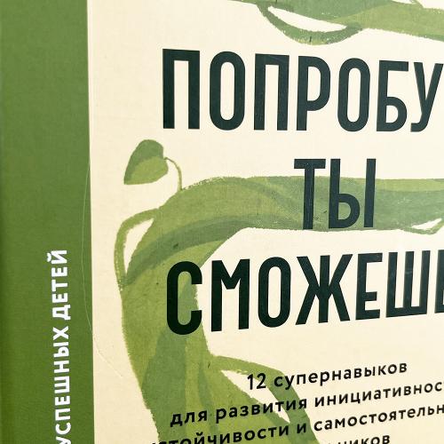 Попробуй, ты сможешь! 12 супернавыков для развития инициативности, устойчивости и самостоятельности (книга с дефектом)