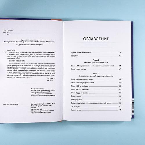 Мир меняется - ребенок готов. Как вырастить того, кто не боится вызовов