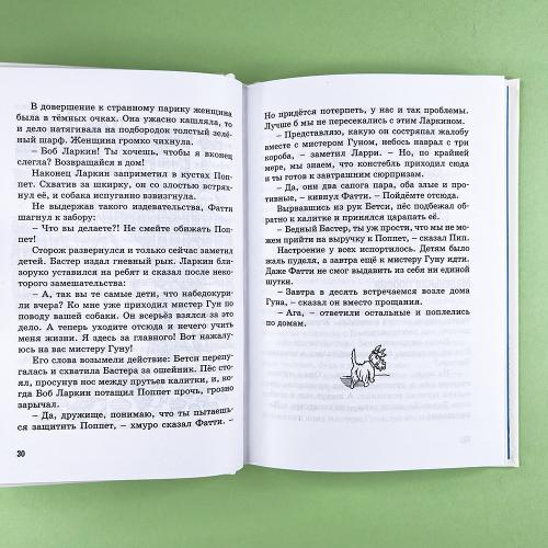 Тайна похищенной картины