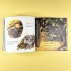 Осень гусенка (книга с дефектом)